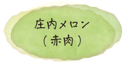 庄内メロン（赤肉）