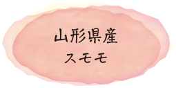 山形県産スモモ