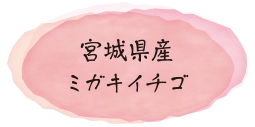 宮城県産ミガキイチゴ