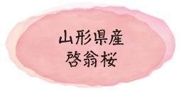 山形県産啓翁桜