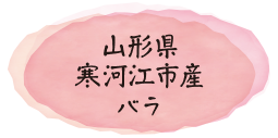 山形県寒河江市産バラ