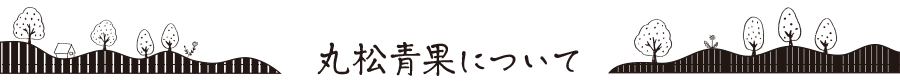 丸松青果について